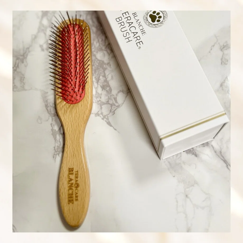 梳かすだけの新習慣。テラヘルツブラシの美容効果とは｜YUMESPA 銀座