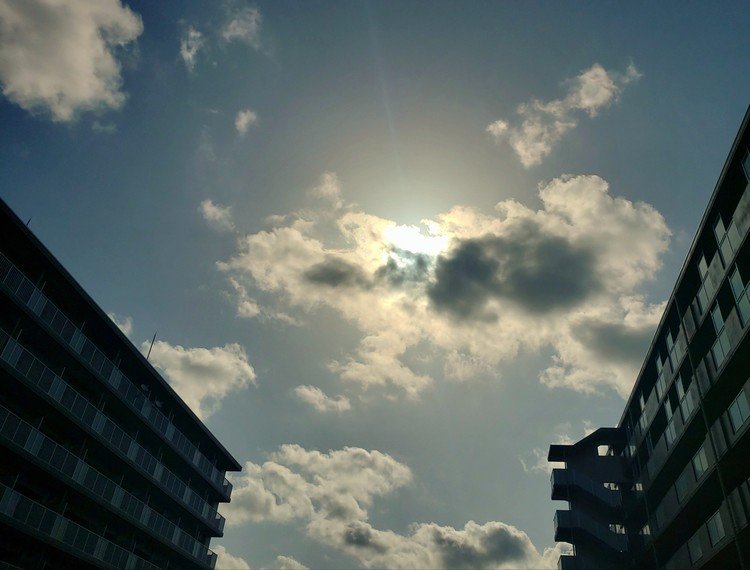 おはよーございます。

少し暑いハレ朝。
アマテラスオオミカミさんが雲の上に立って、ワタシたちの世界を眺めておりました。
パァァ。

佳い日曜日を。


#sky #summer #love #moritaMiW #空 #初夏 #佳い一日の始まり