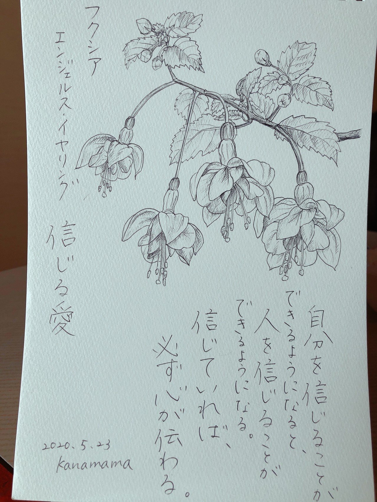 フクシア エンジェルス イヤリング かなママ Note フクシア エンジェルス イヤリング かなママ Note