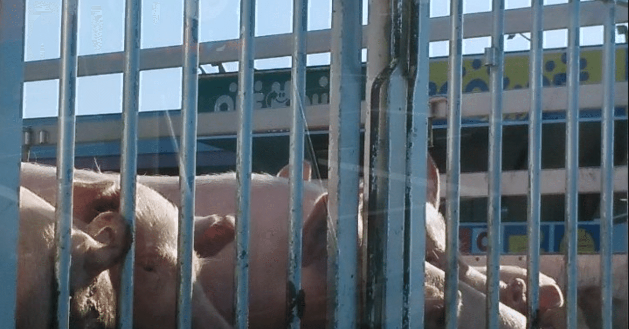 ブラック部活 真咲ともか Note