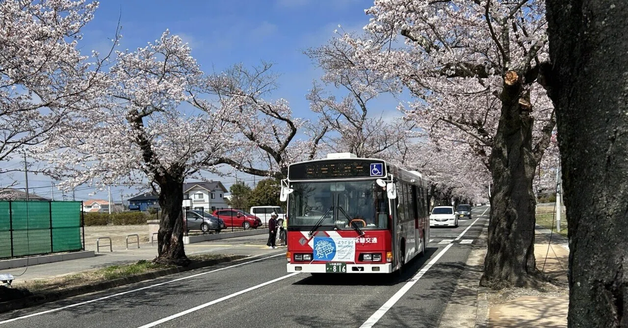 公共交通機関を利用して夜ノ森の桜並木へお花見🌸｜角田涼太（だーりょう）