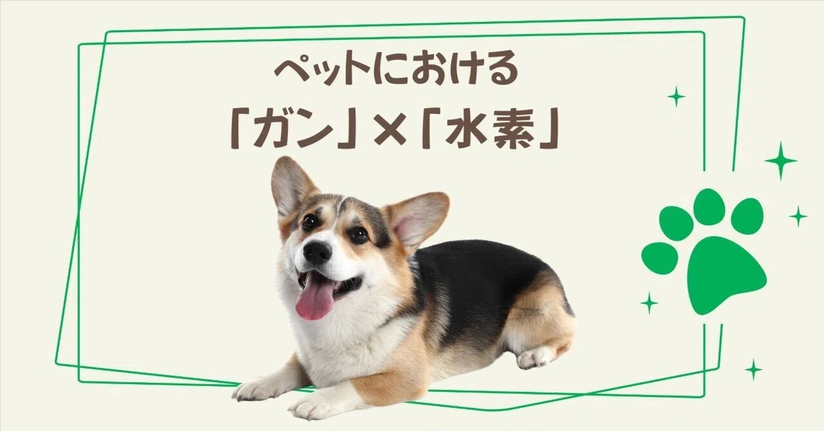 Pet 'Cancer' x 'Hydrogen'｜往診獣医るいちゃん先生／ちゃこーるぐれいオーナー