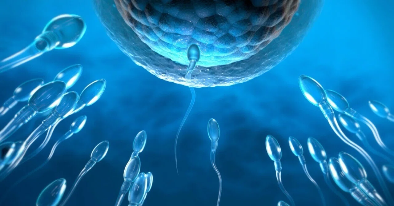 最新｜セレンサプリメントが男性の生殖能力を高める精子の質・運動性・テストステロンへの影響とは