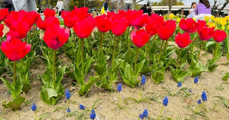 関西親子部🧑‍🧑‍🧒3月活動記録🌸