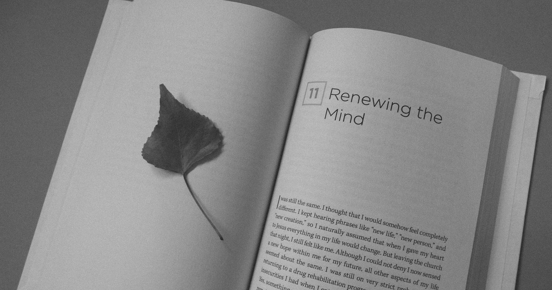 雑記 Toeic 310点の実力から院試英語を突破するまでの勉強法 Kqworu カヲル Note