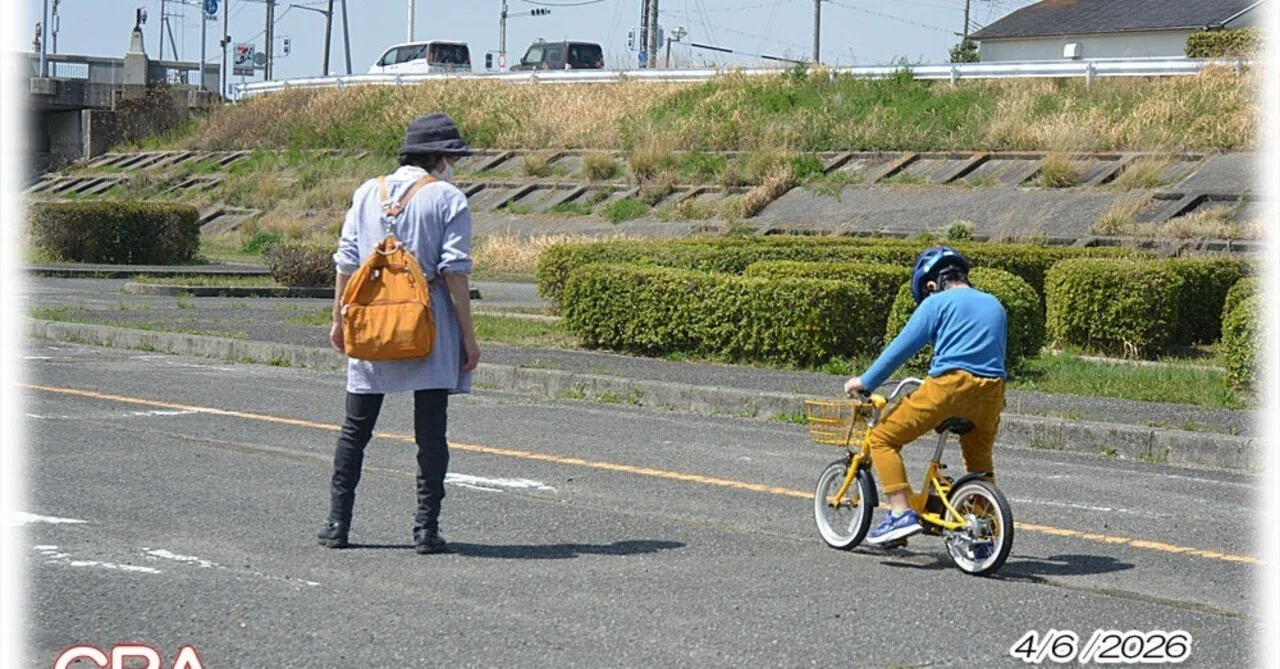 Traffic Park in Use｜GRA