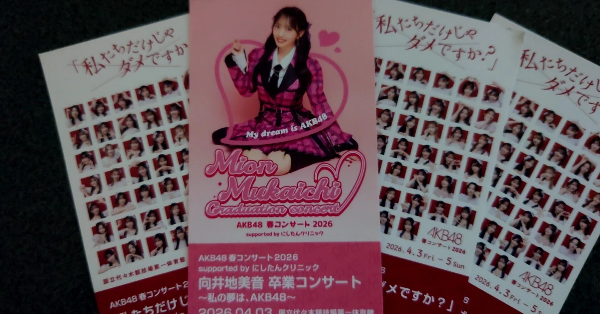 向井地美音 卒業コンサート ～私の夢は、AKB48～｜katopu