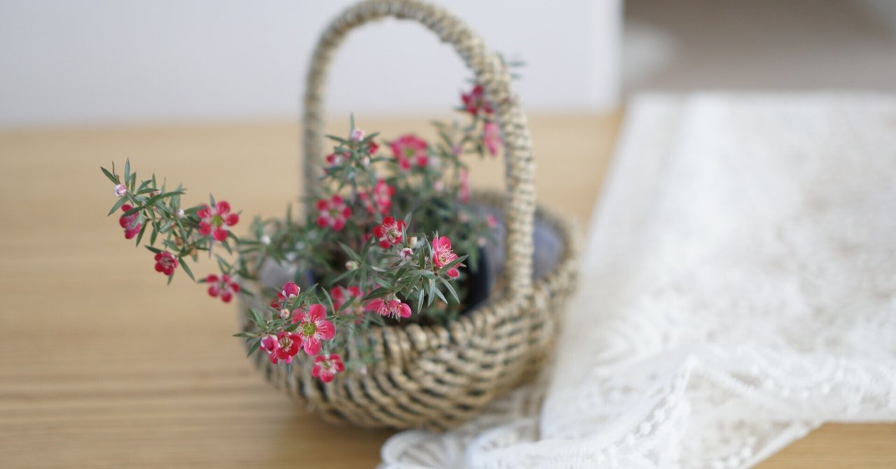 自分を整える3つの習慣｜mebae🌱