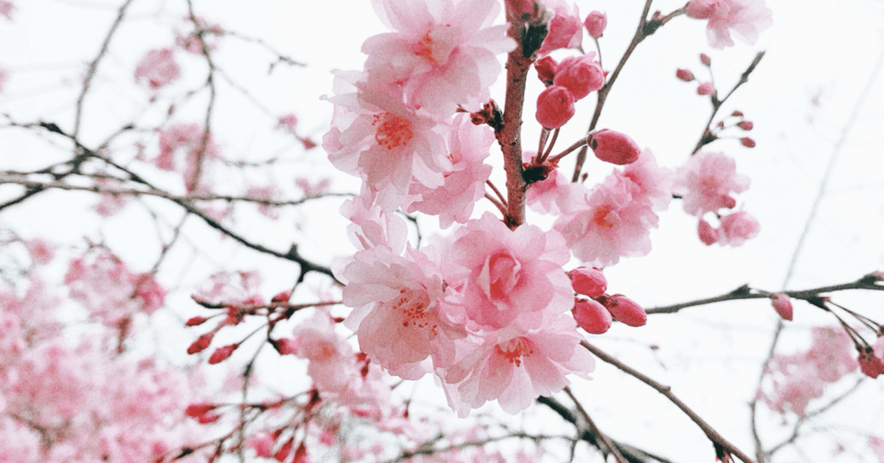 「覚えていたはずなのに忘れる」現象の正体――指揮者の勘違いから考える、人間の記憶の不思議｜linguistics research and ...