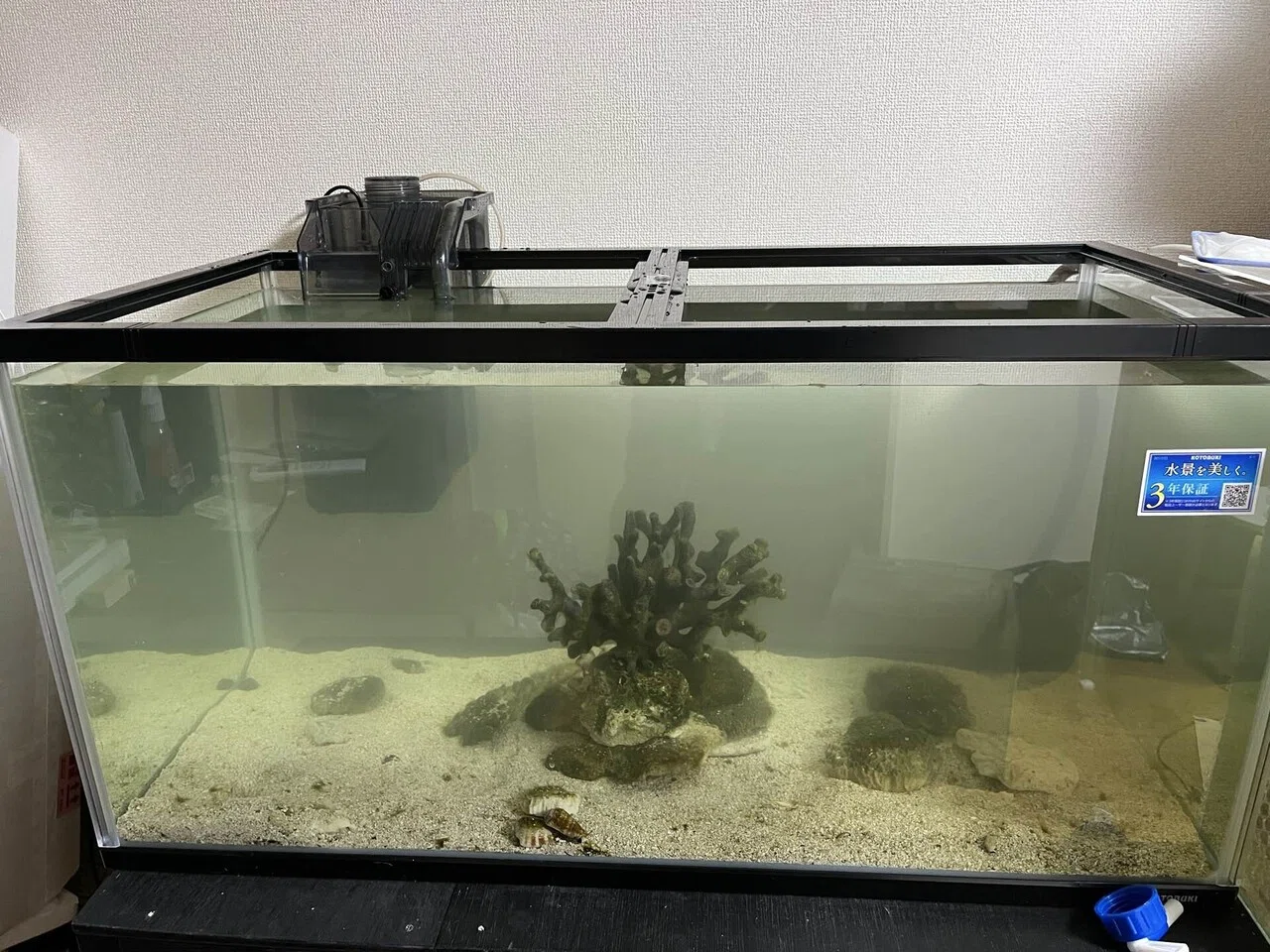 90cm 水槽 アクアリウムをぶっ壊す〜90cm水槽〜｜トリミィ