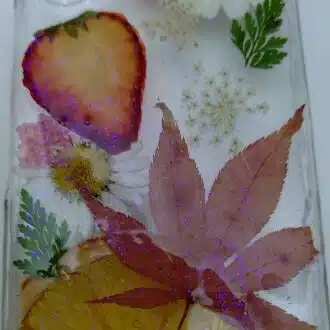 苺と楓と樹