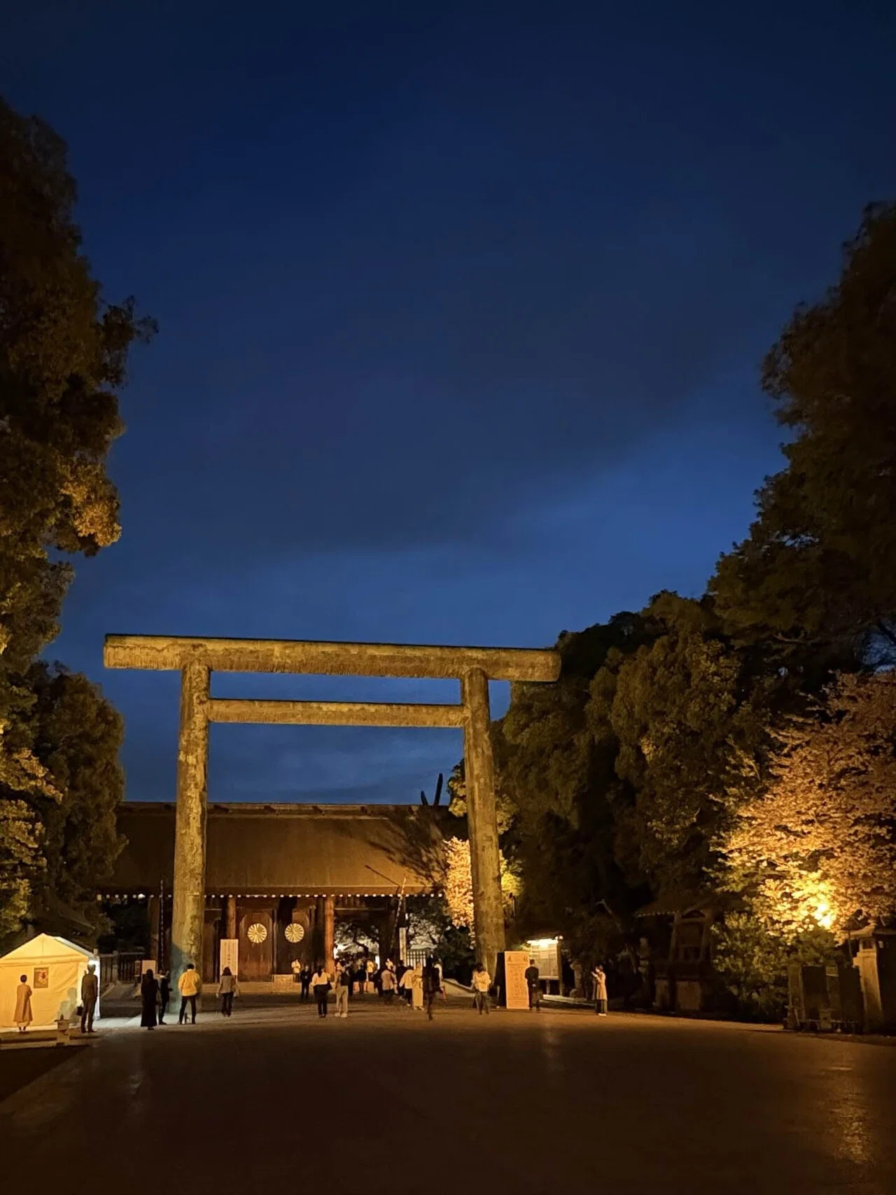 能初心者が、桜吹雪の中で“理解を手放した夜”――靖国神社 夜桜能｜眞坂