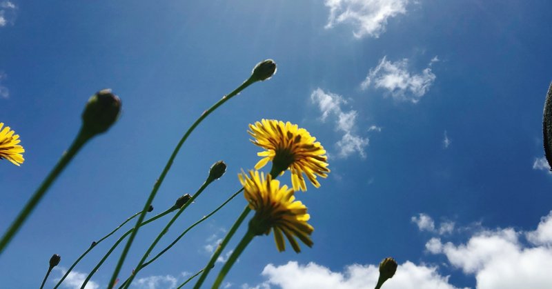 平和な世界 は来ない だから 安心できる村 で暮らす うめちゃん Note