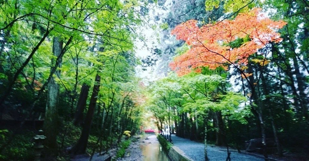 おじいちゃんの死が美しすぎた 当日編 飯尾 早紀 Note