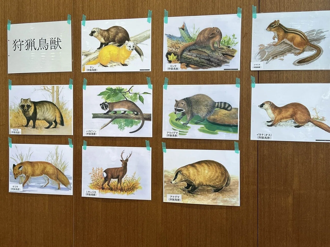狩猟関係資料一式 リアルハンターはじめた話｜まかん