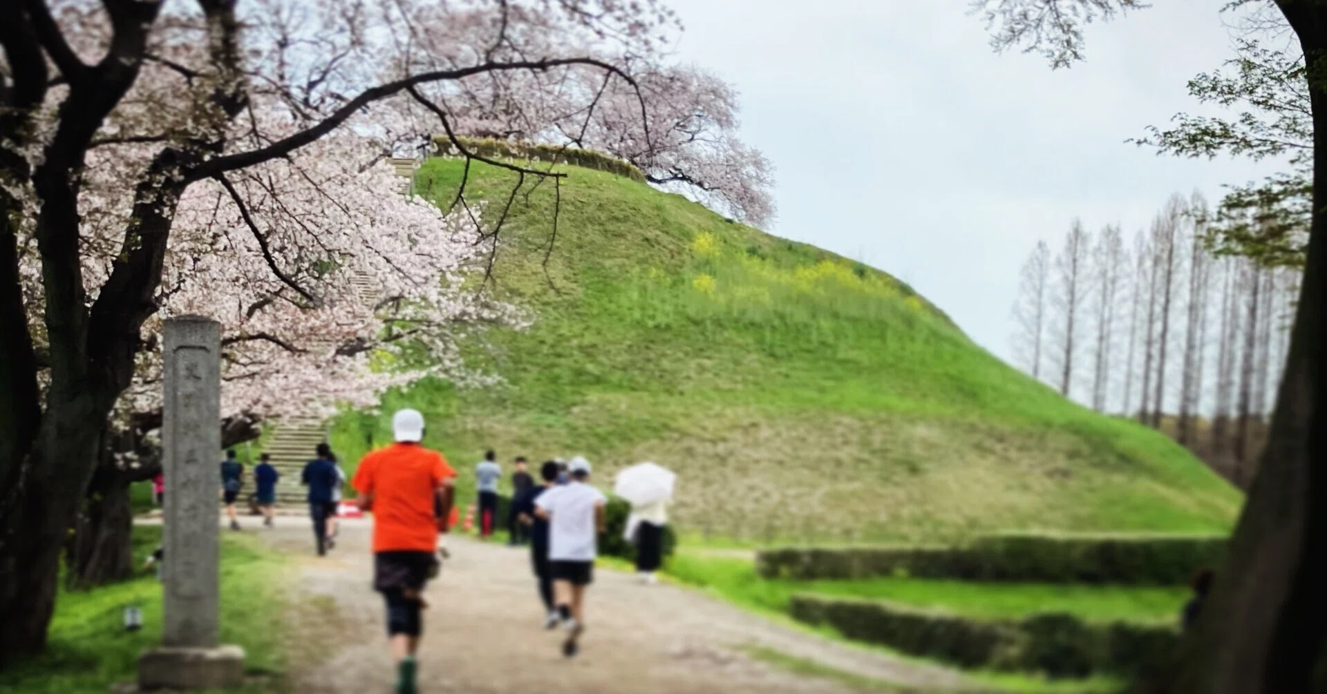 行田市鉄剣マラソン2026｜10kmの部を走ってきた (2026年4月5日