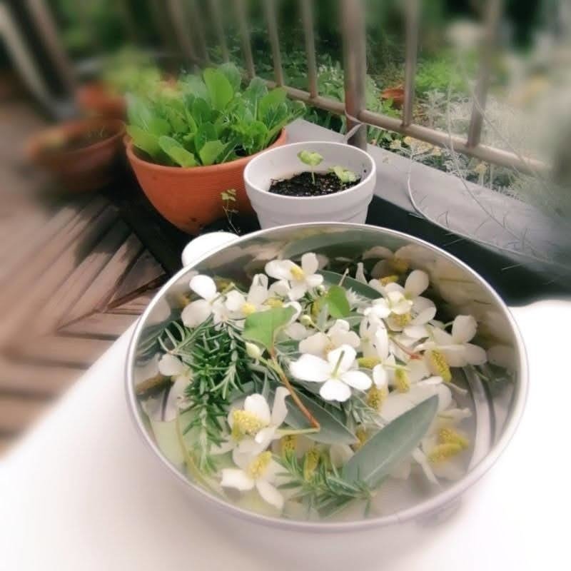 どくだみの花を漬ける Coomomoおおはたゆうこ Note どくだみの花を漬ける Coomomoおおはたゆうこ Note