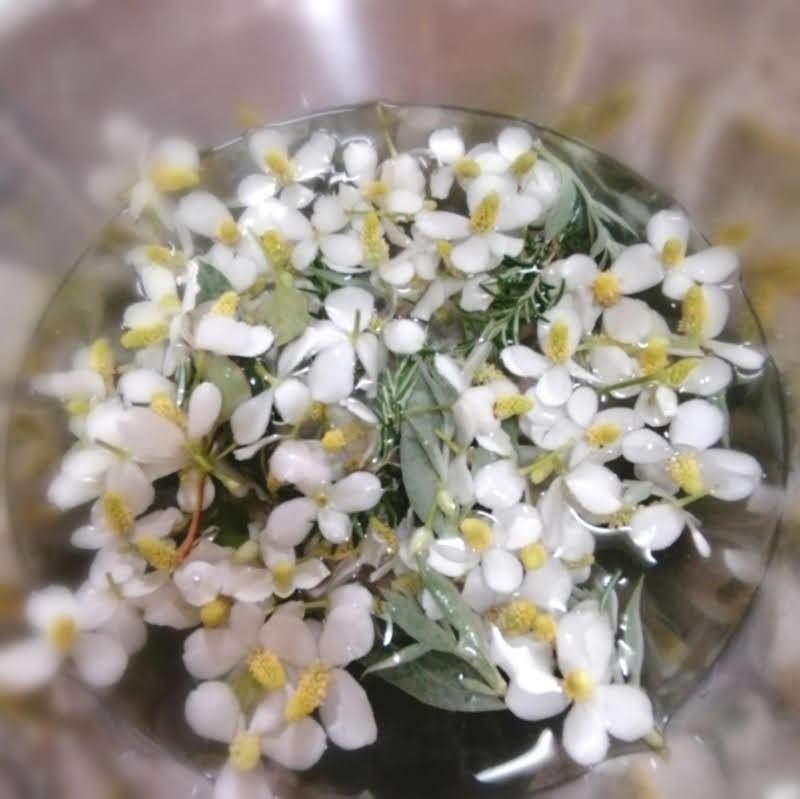どくだみの花を漬ける Coomomoおおはたゆうこ Note