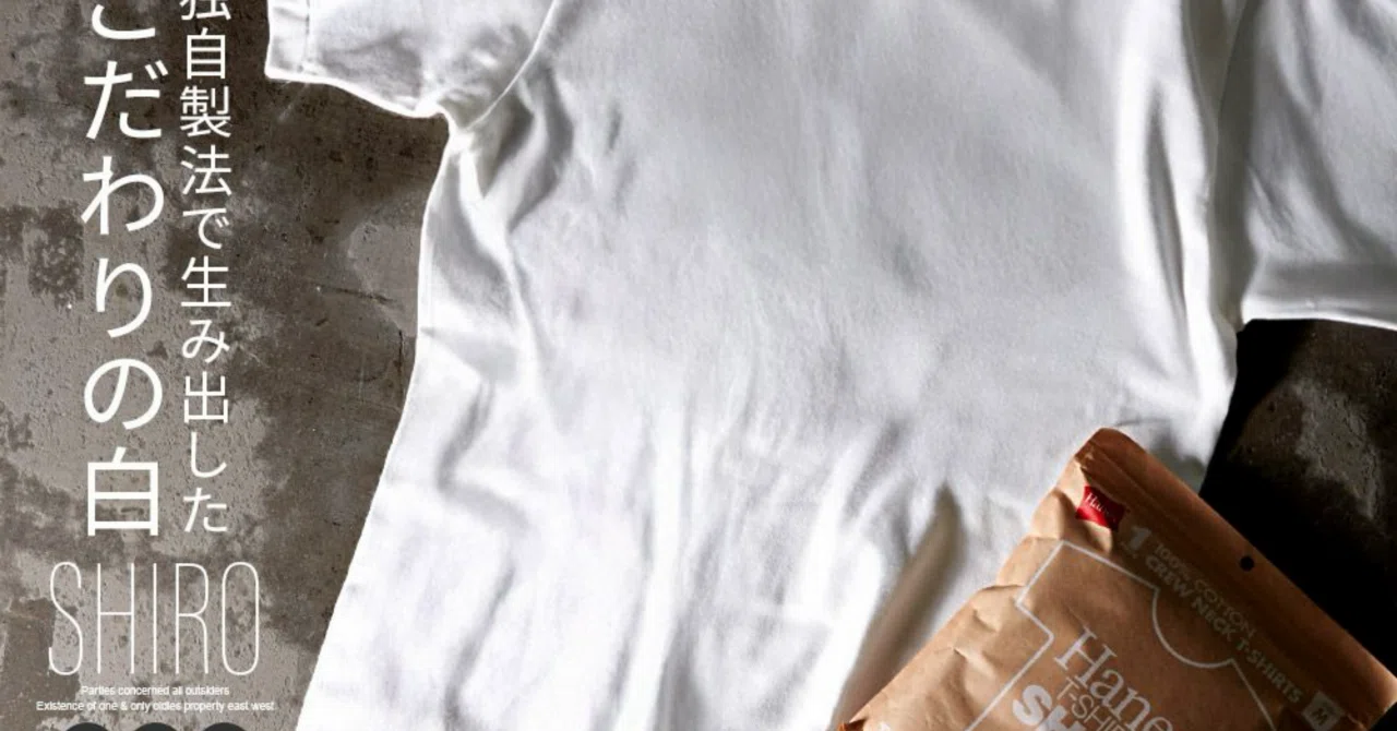 夏に愛用したい必需品。おすすめのヘインズTシャツ｜チャチャ丸