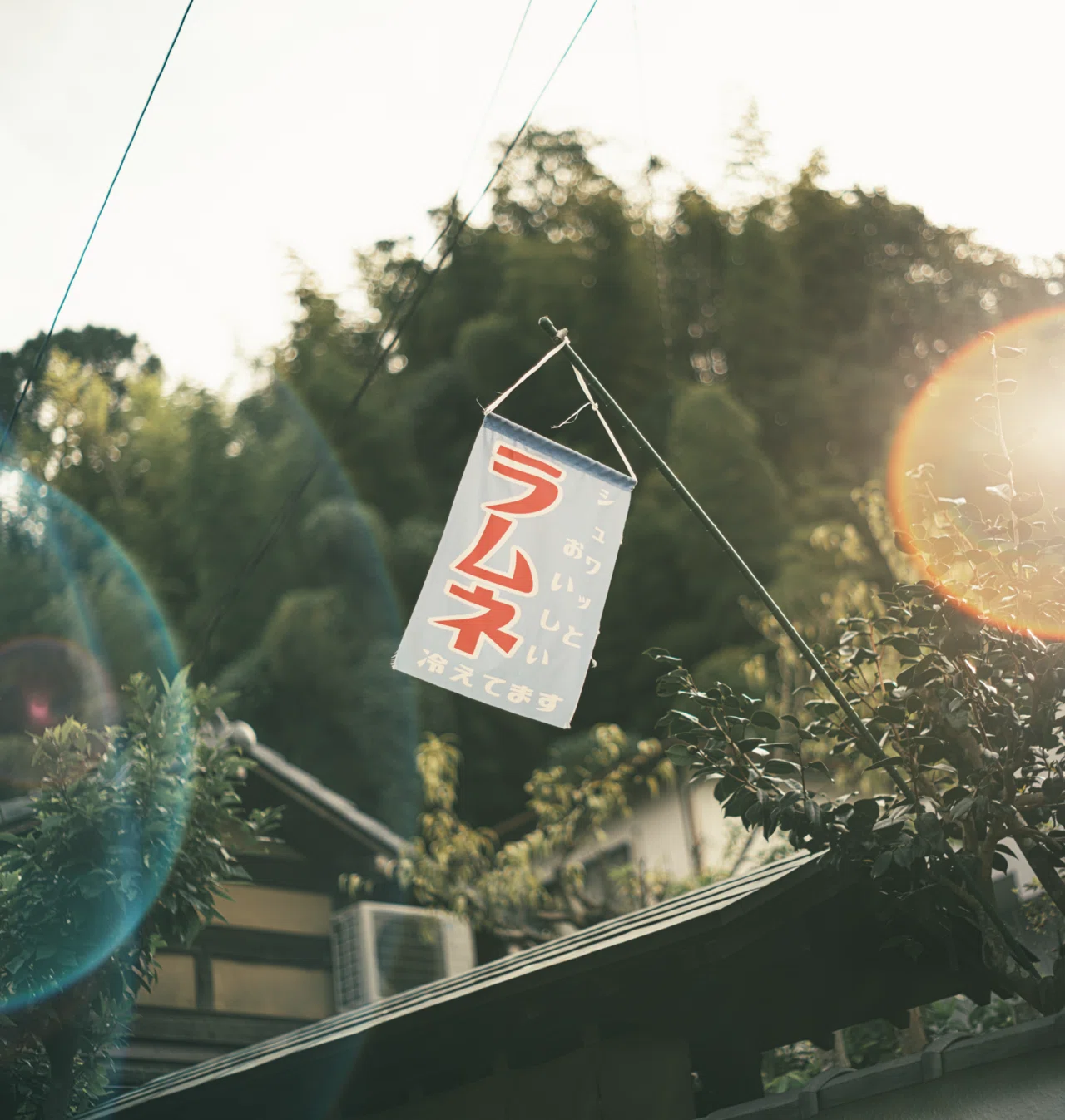 写真に迷ったら、他人じゃなくて自分を見る。｜sho