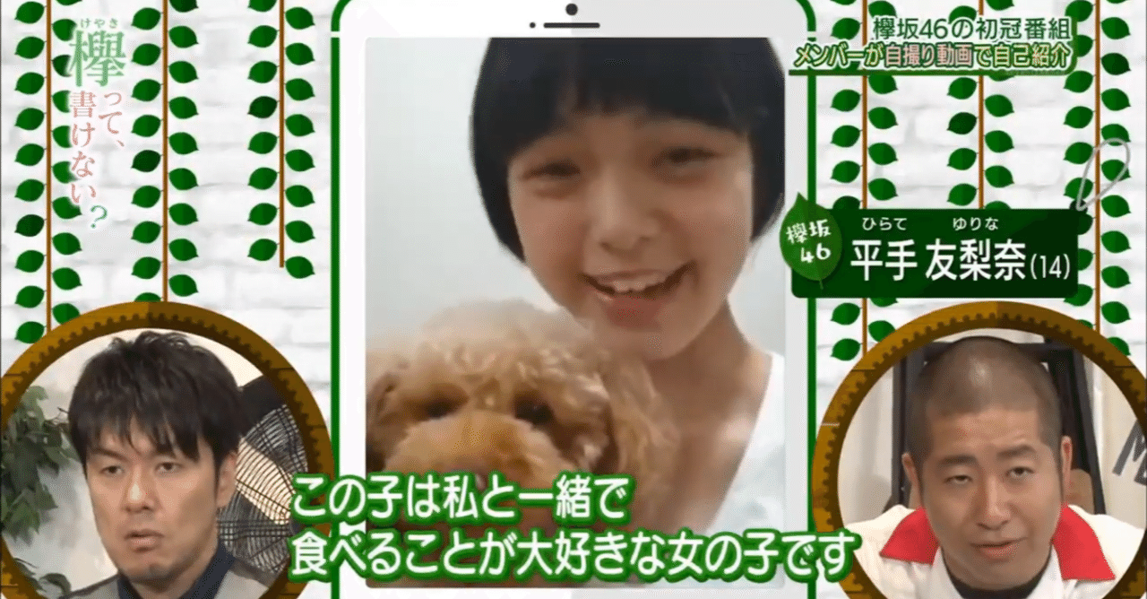 誹謗中傷と平手友梨奈と私達 しんげんちゃん Note