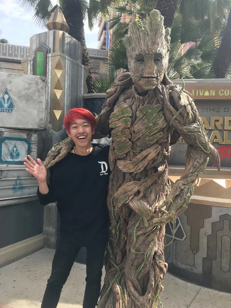 ひとりでディズニー カリフォルニア アドベンチャーに行ってみた Naok Matsui 松井 直輝 Note
