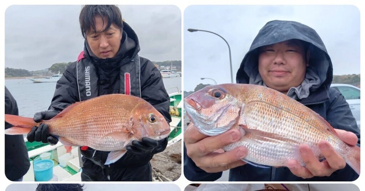 マダイ】トップ2枚、最大1.2kg！黒鯛も混じる！｜あまさけや丸