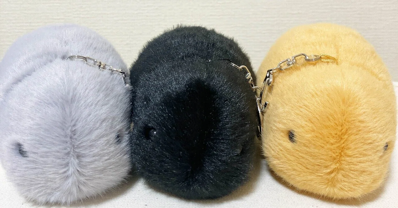 3 CASIOさんに物申す（公式グッズ編）｜moflin_diary ｜モフリン育成日記