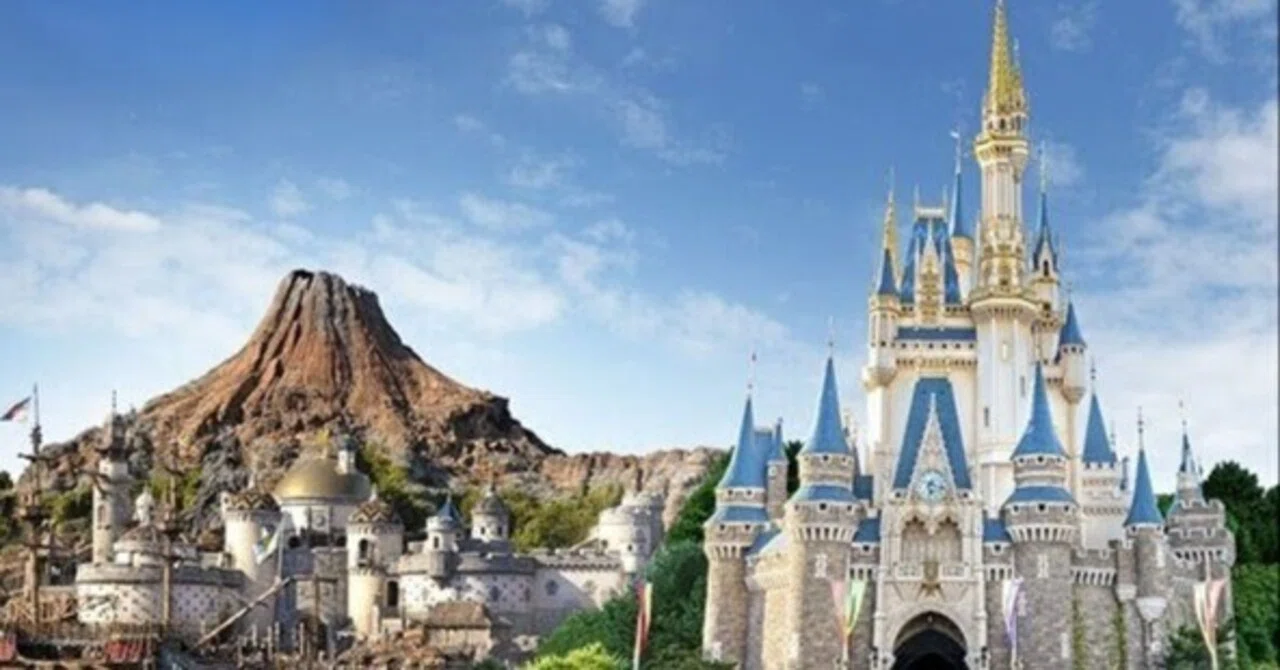 Disney WONDERBLESS 東京ディズニーリゾート 東京ディズニーリゾートが帰るべき場所｜山下静希