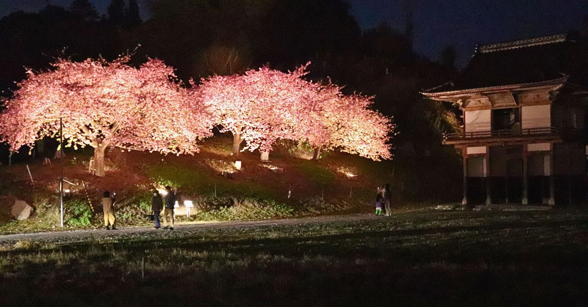 夜桜の 鐘聞得たり 寒山寺｜岩手県立高田高等学校