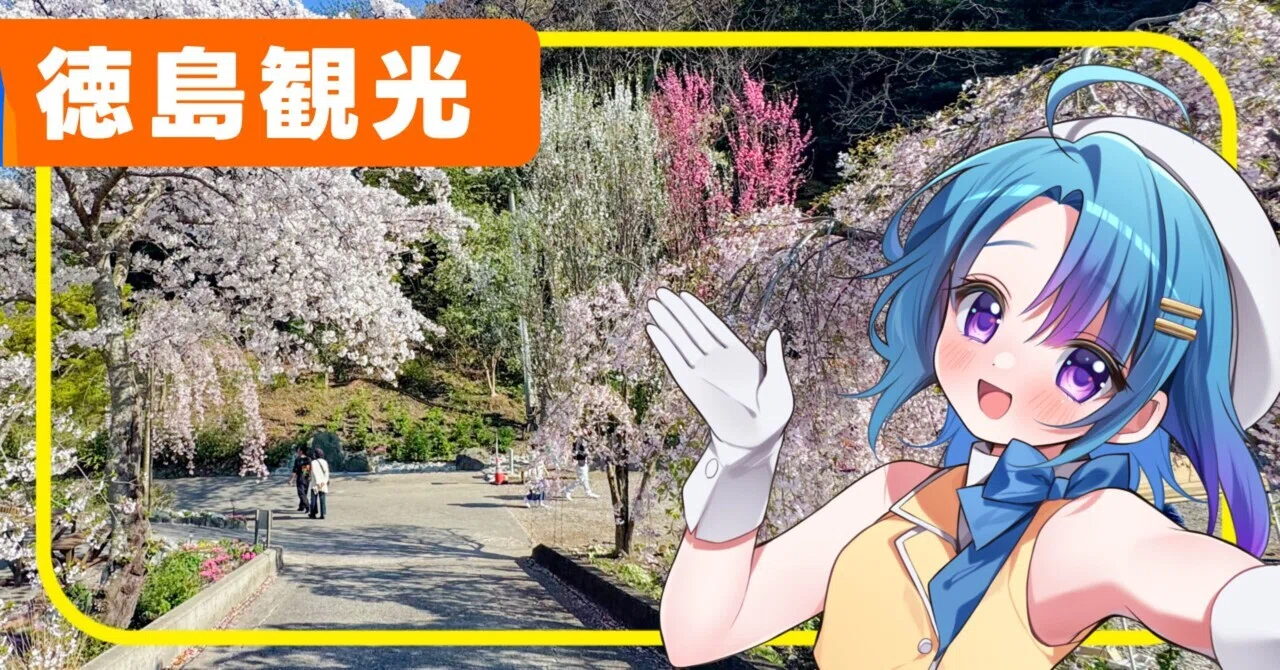 512my57△紹巴織 鹿の子流水桜吉祥文 枝垂桜 牡丹 松 菊竹 洒落袋△美品 徳島観光 レポ 】🌸約400本の枝垂れ桜が咲く名所🌸花見山│鳴門市【 藍