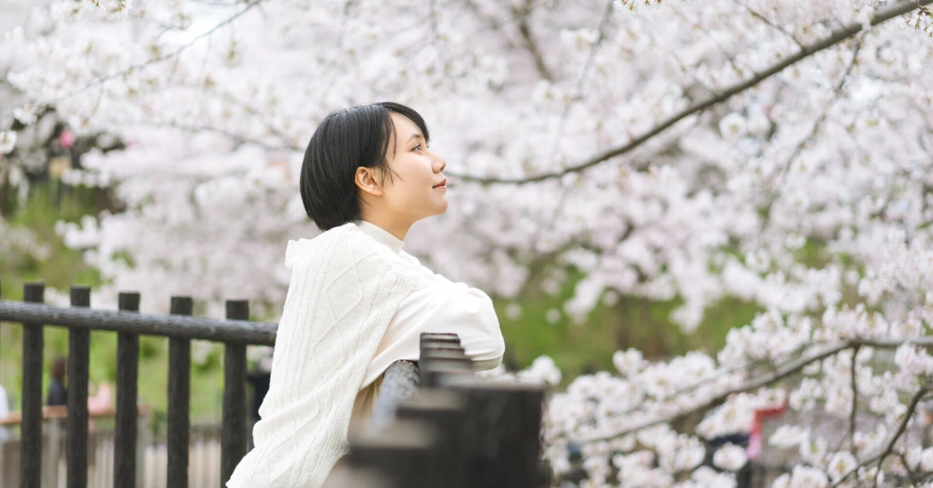 桜を10倍美しく観る」今日誰かに話したくなる自然界のひみつ