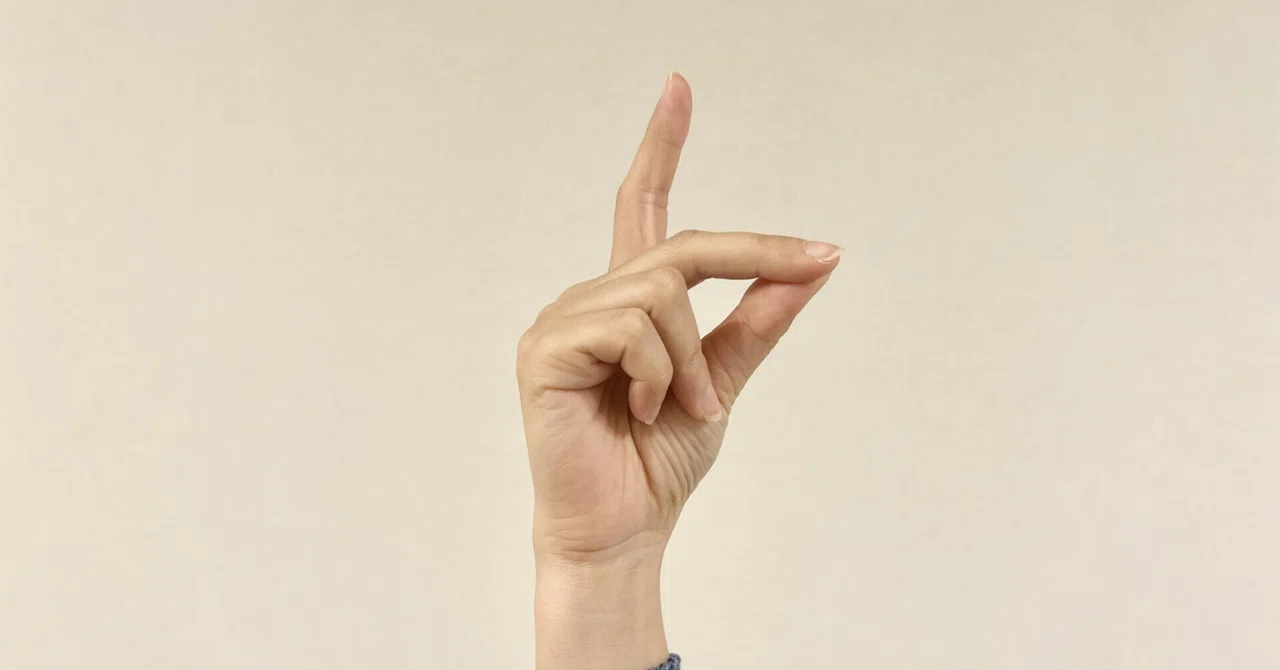 “Experiencing the Language of Sign Language” — A World Seen Through the ...