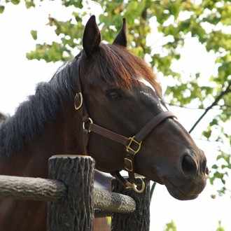 最強勇者はお払い箱 魔王になったらずっと俺の無双ターン Yossing Note