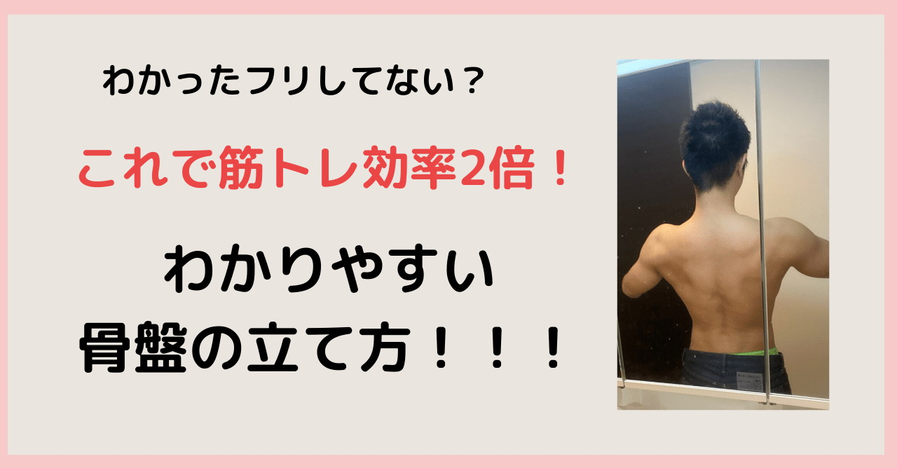 骨盤の立て方 を知らずに筋トレをしても無駄になってしまう理由 筋勉くん Noteで書くことが好きになった人 Note