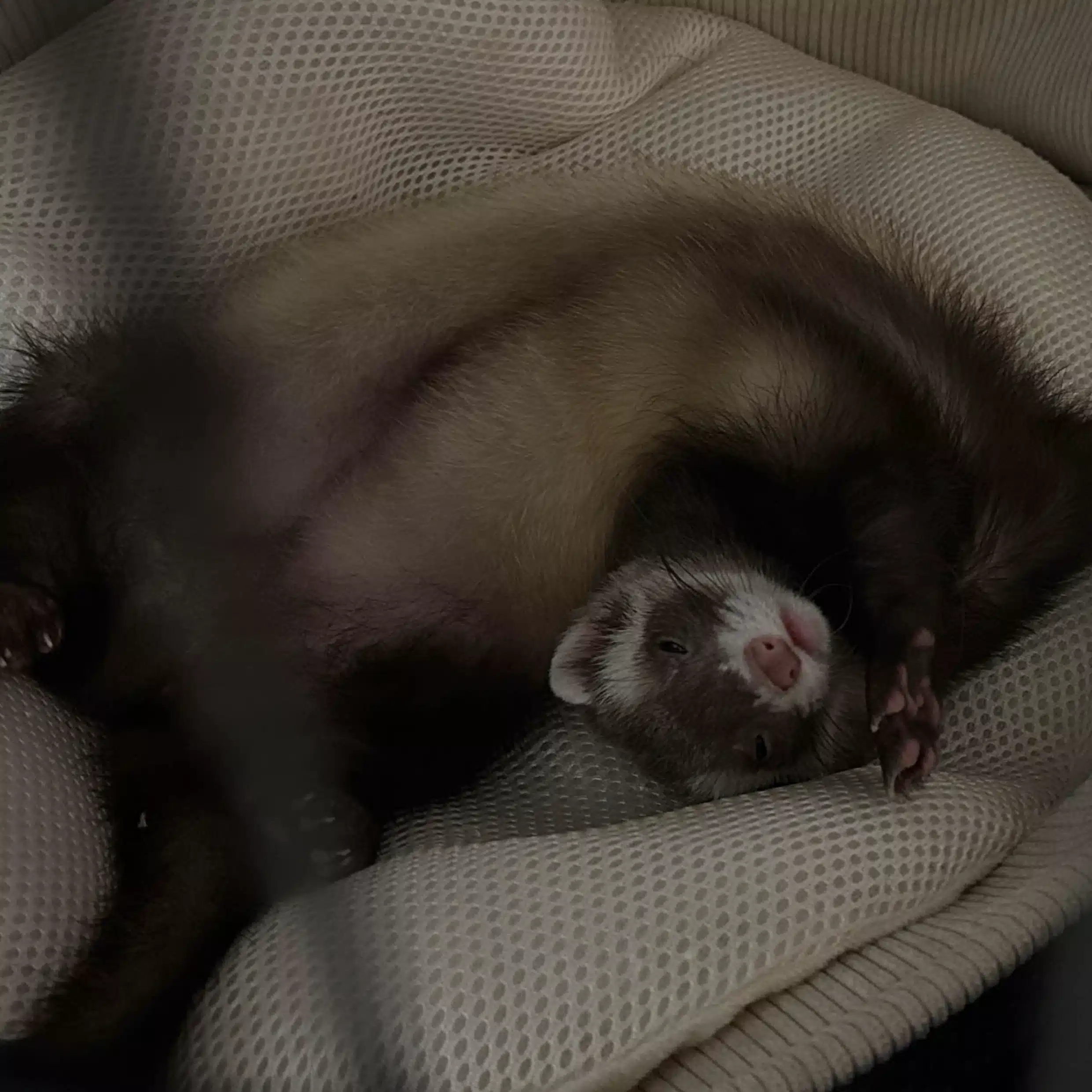 こうたろう