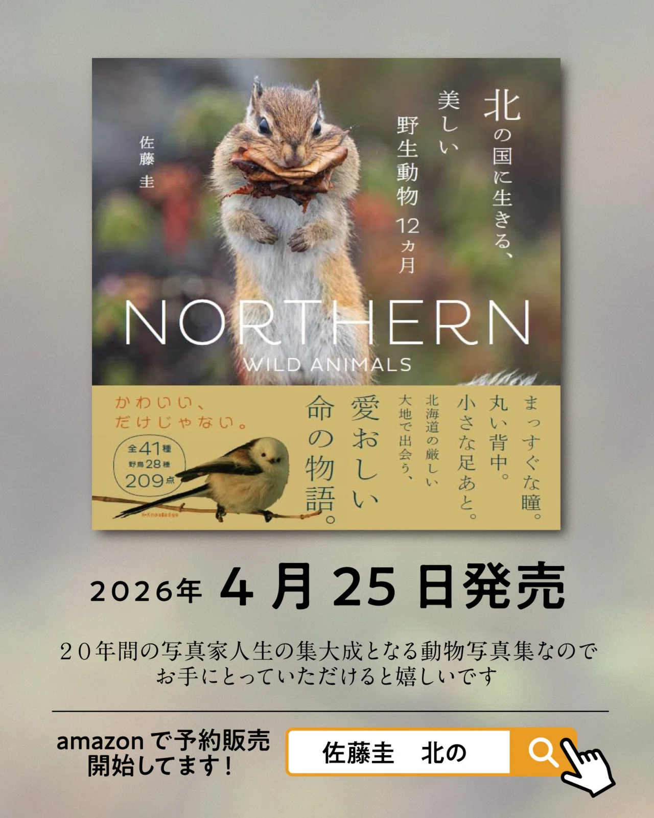 人生初の動物写真集を刊行します！｜動物写真家 佐藤圭/KEI SATO