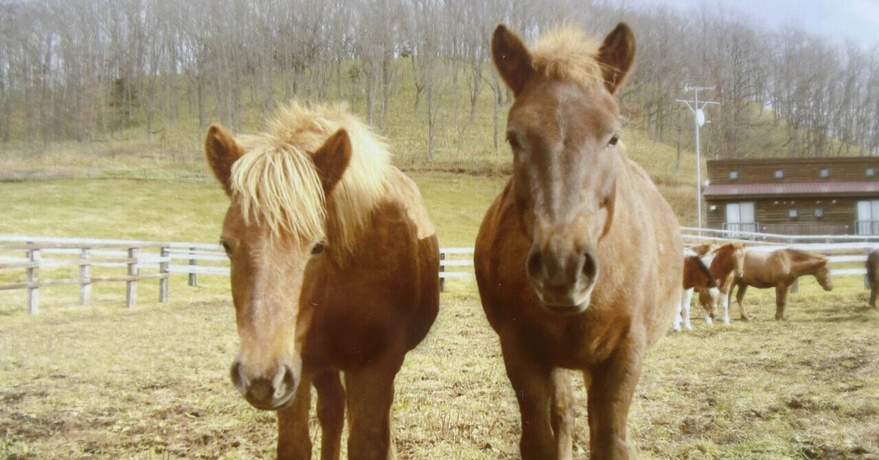 馬を知りたいで広がった世界 eyecatch