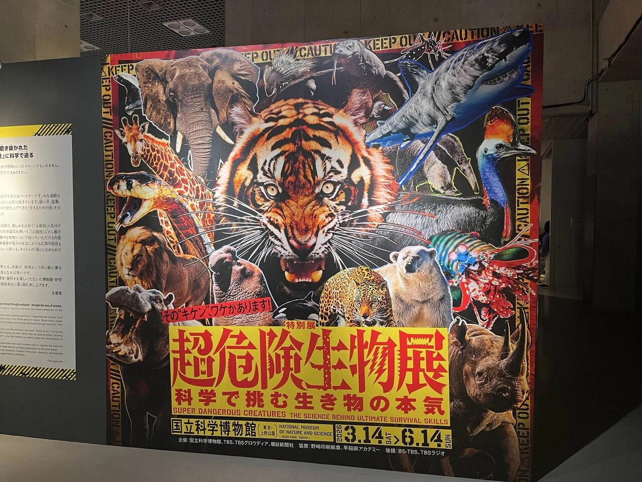 国立科学博物館「超危険生物展」｜青山瑩(えい)