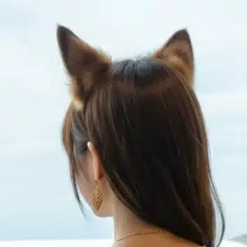 のはな りこ｜空想野花日誌🦊