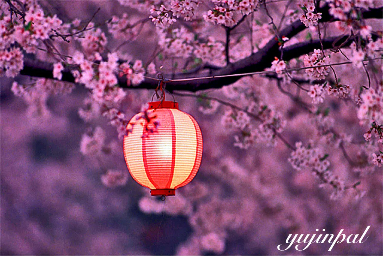 小楽園 ユートピアン花提灯 sakura(桜) 【公式通販】