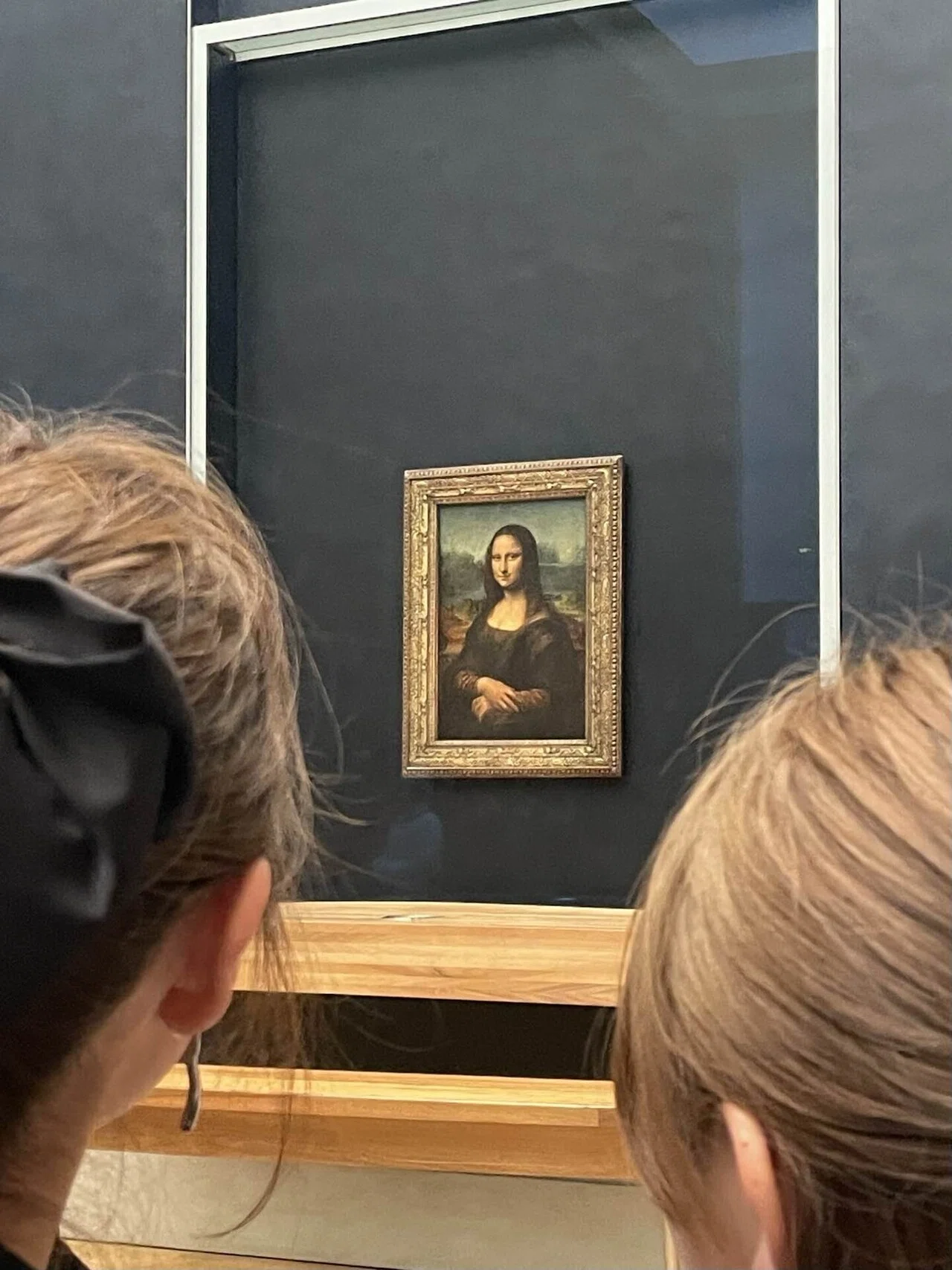 モナ・リザは遠かった【パリ旅⑨ルーブル美術館編（1）】｜もり