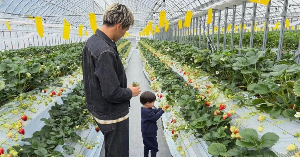 Yakumo Farm Summary | Purchases, Strawberry Picking, Social Media