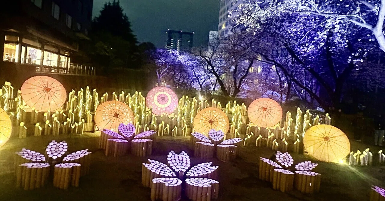 癒しの竹灯り　〜〜華の影〜〜　その日の気分で２つの美しさが楽しめる 高輪 桜まつり2026 in品川〜桜と竹あかりが幻想的な庭園ライトアップ