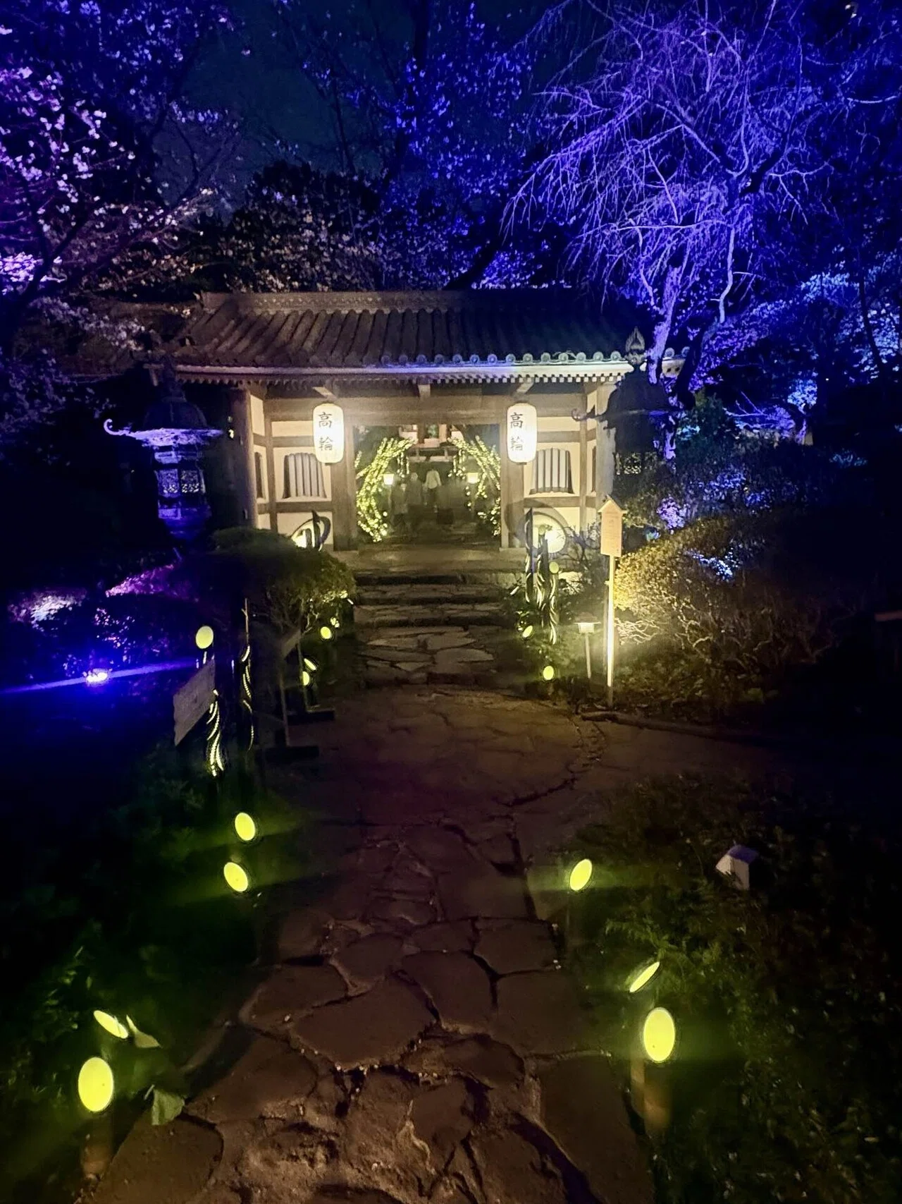 高輪 桜まつり2026 in品川〜桜と竹あかりが幻想的な庭園ライトアップ
