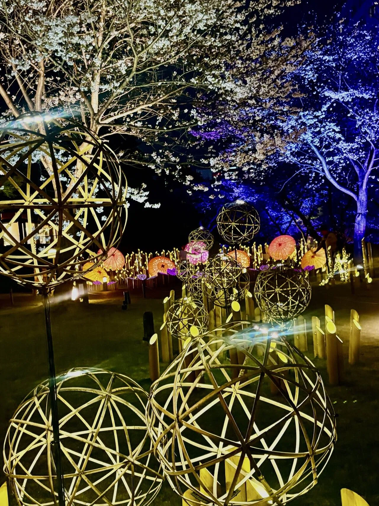 高輪 桜まつり2026 in品川〜桜と竹あかりが幻想的な庭園ライトアップ