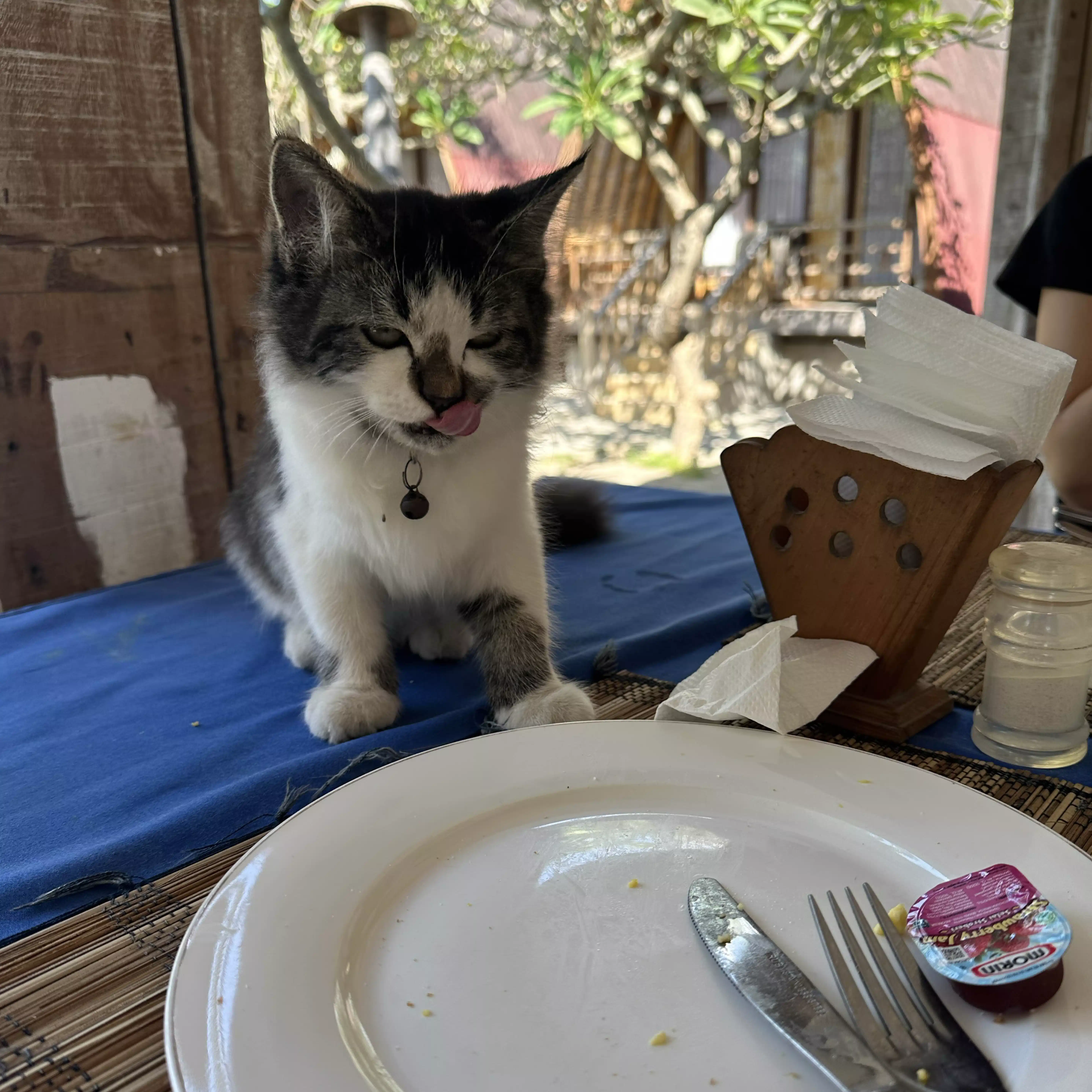 tabisapo