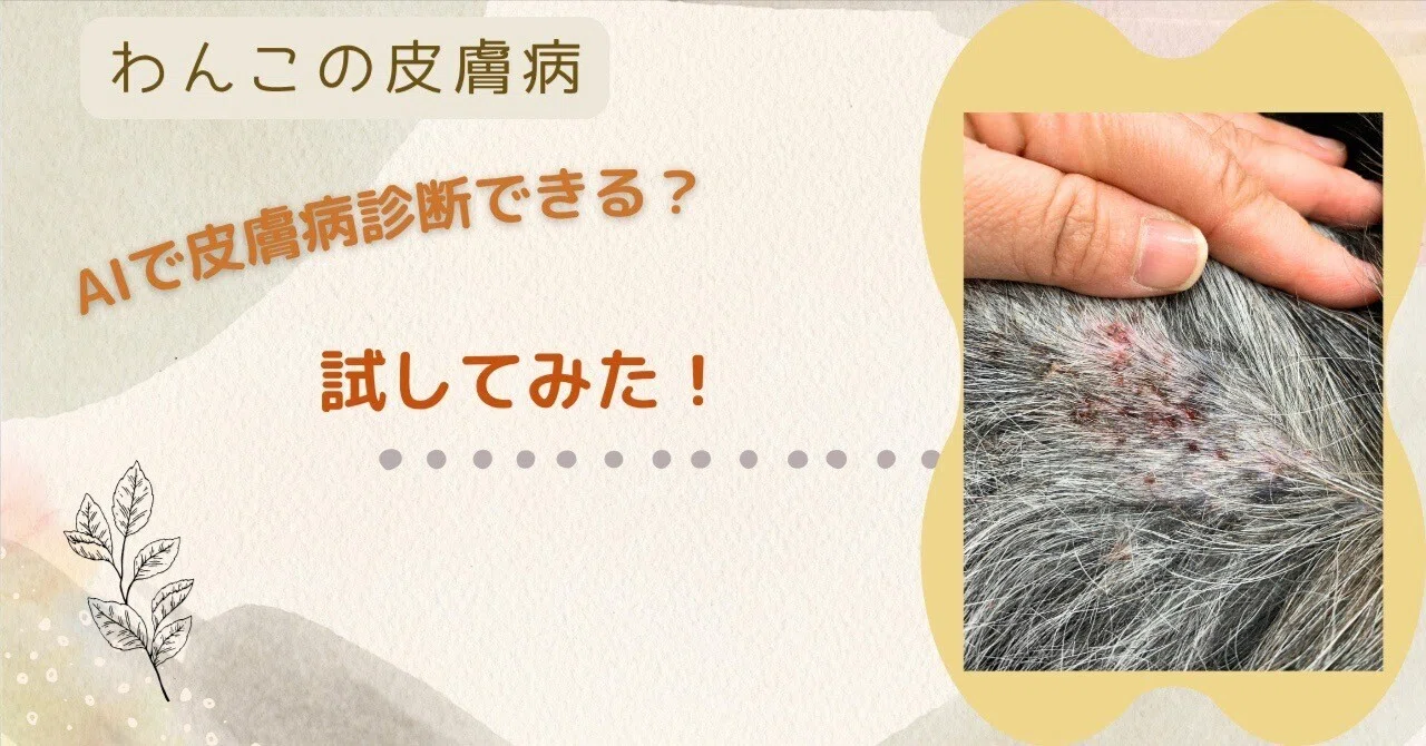 Can AI Diagnose via Photos? I Put It to the Test｜ peko (山本真紀子)