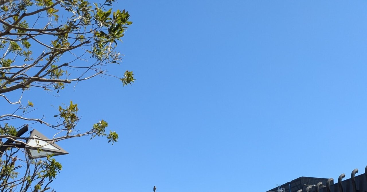 今日は天気がいいですねぇ〜、ほんま吉原日和｜ゴジラ