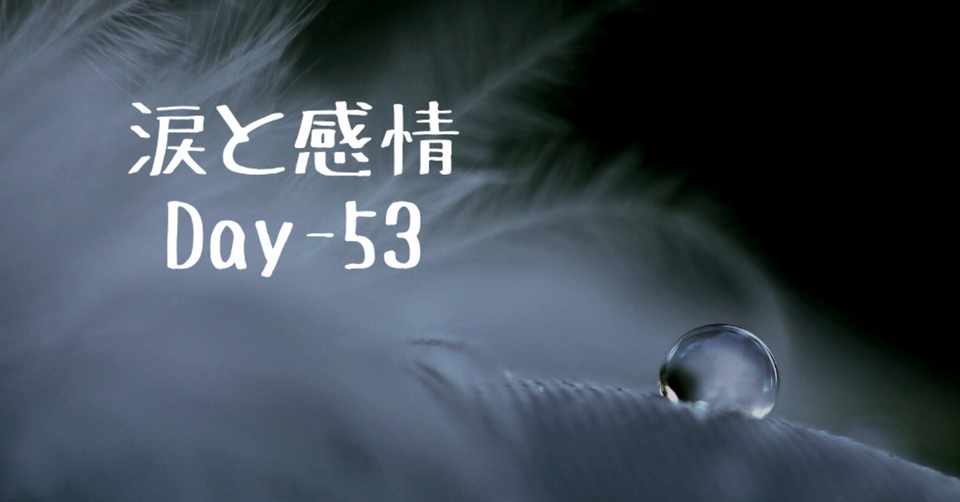 涙と感情の関係性を追求してみる 涙もろい仲間たちに感化されて Day 53 野村尚史 Twitter Naoshi Nomura Note
